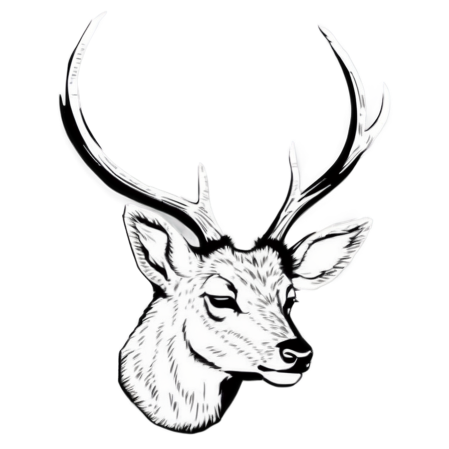 Deer Head Silhouette Png Myp69 PNG image