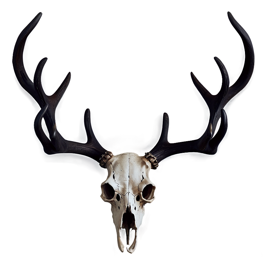 Deer Skull On Dark Background Png Rup71 PNG image