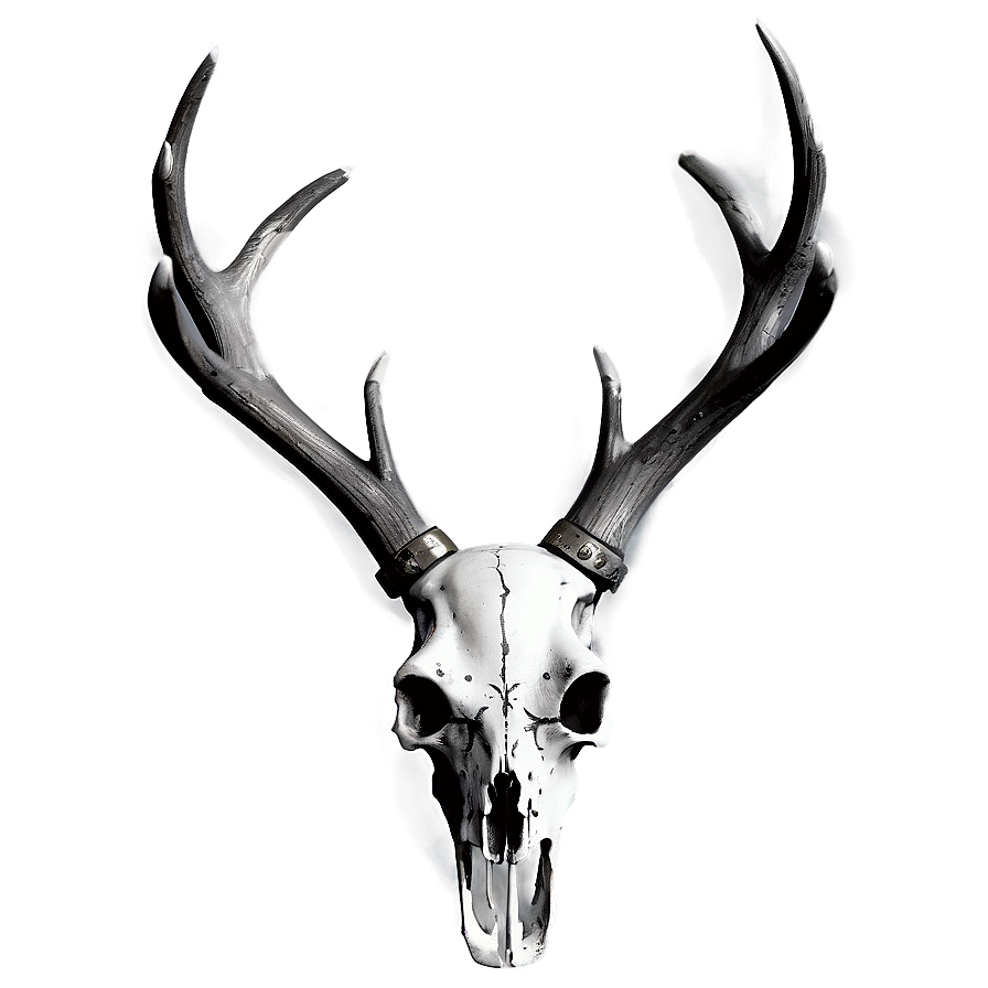 Deer Skull With Crossed Arrows Png Eae PNG image