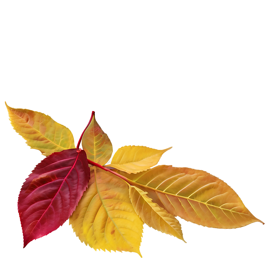 Delaware Autumn Leaves Png Ifx86 PNG image