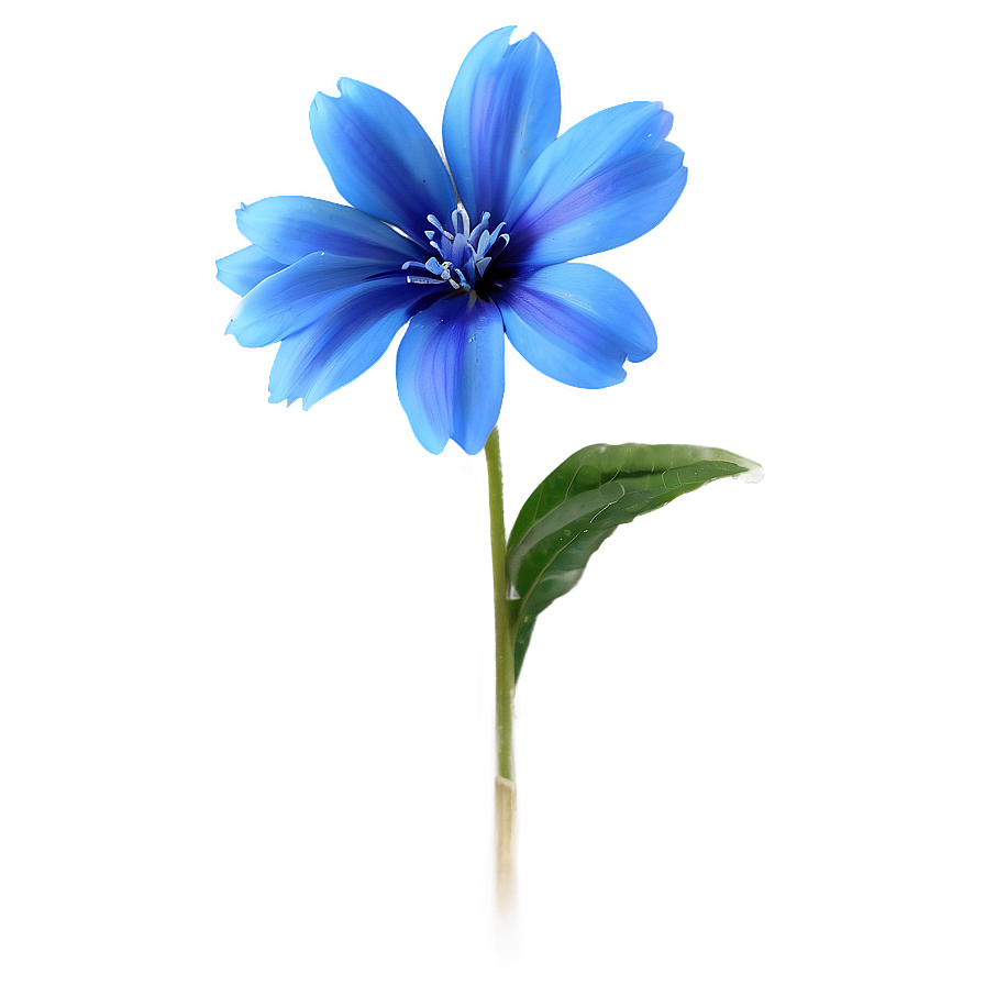 Delicate Blue Flower Png 05242024 PNG image