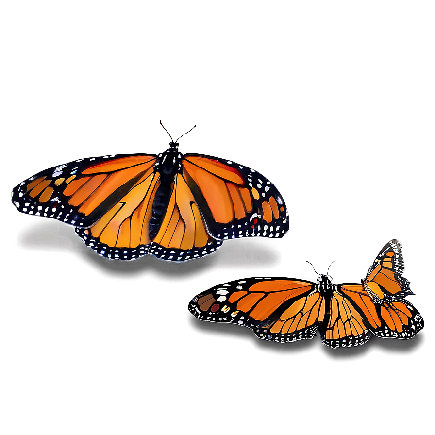 Delicate Monarch Butterflies Png Mkl53 PNG image