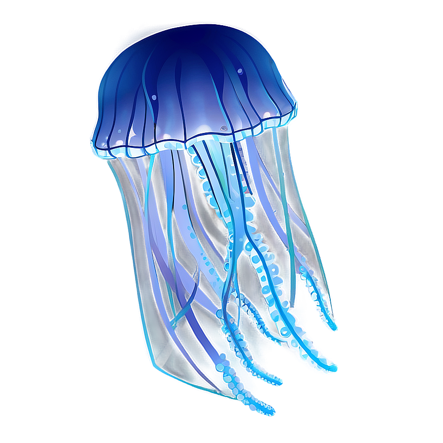 Delicate Moon Jelly Outline Png Feh PNG image