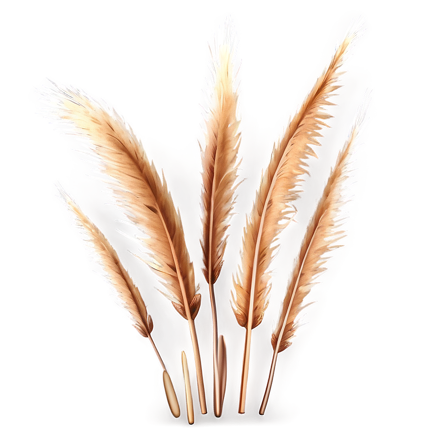 Delicate Pampas Detail Png 99 PNG image