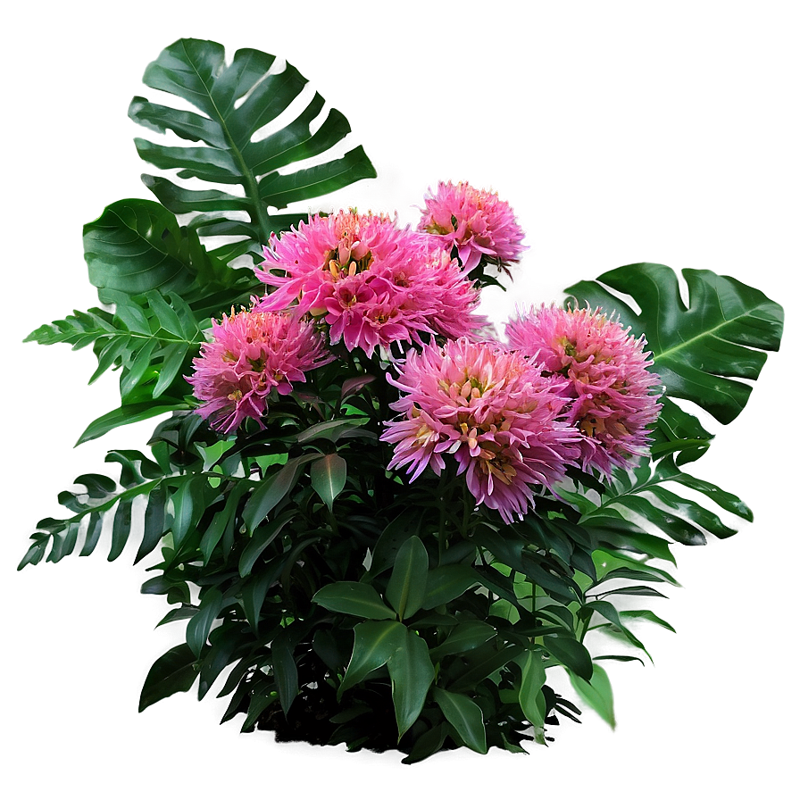 Dense Flower Bush Png Jxn83 PNG image