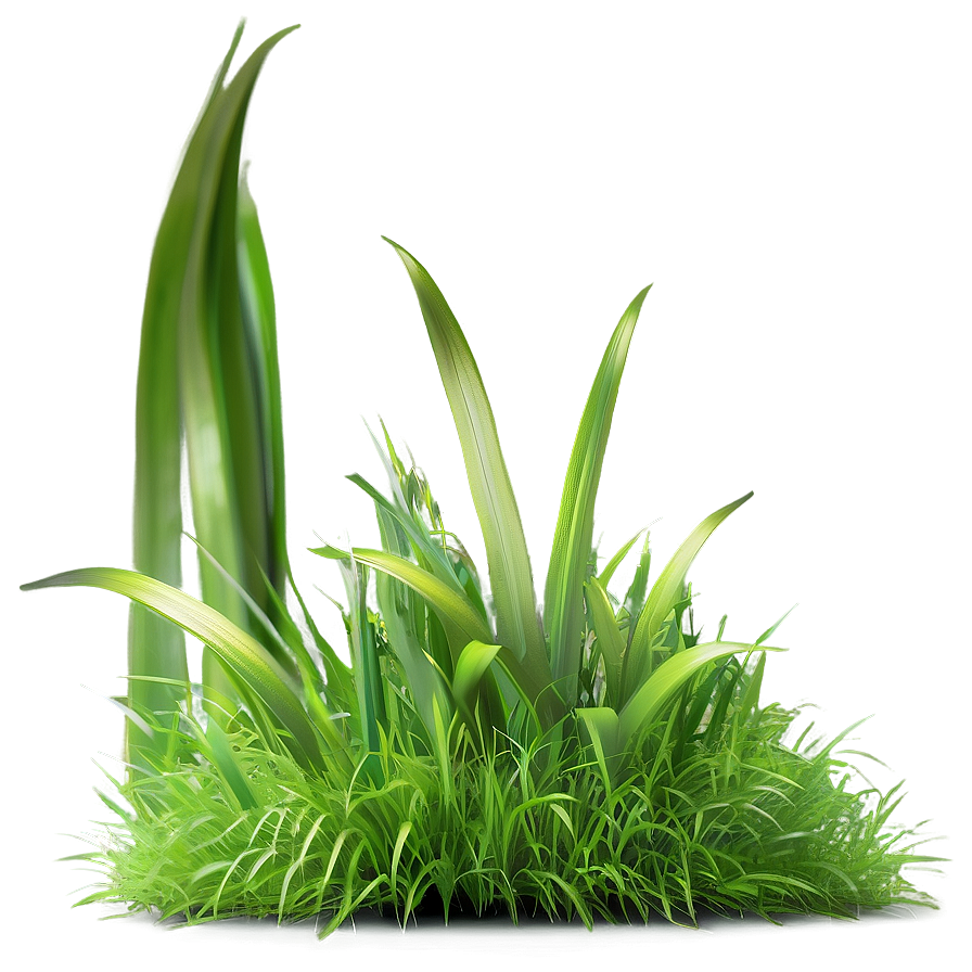 Dense Green Grass Png Evo84 PNG image