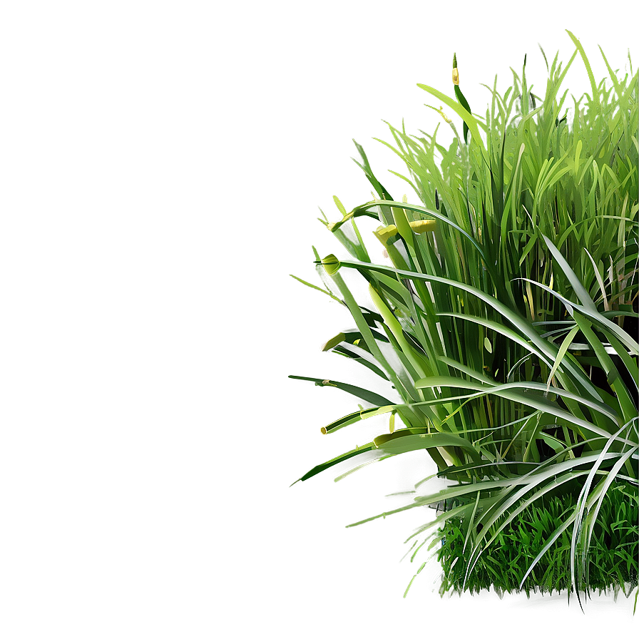 Dense Green Grass Png Wps PNG image