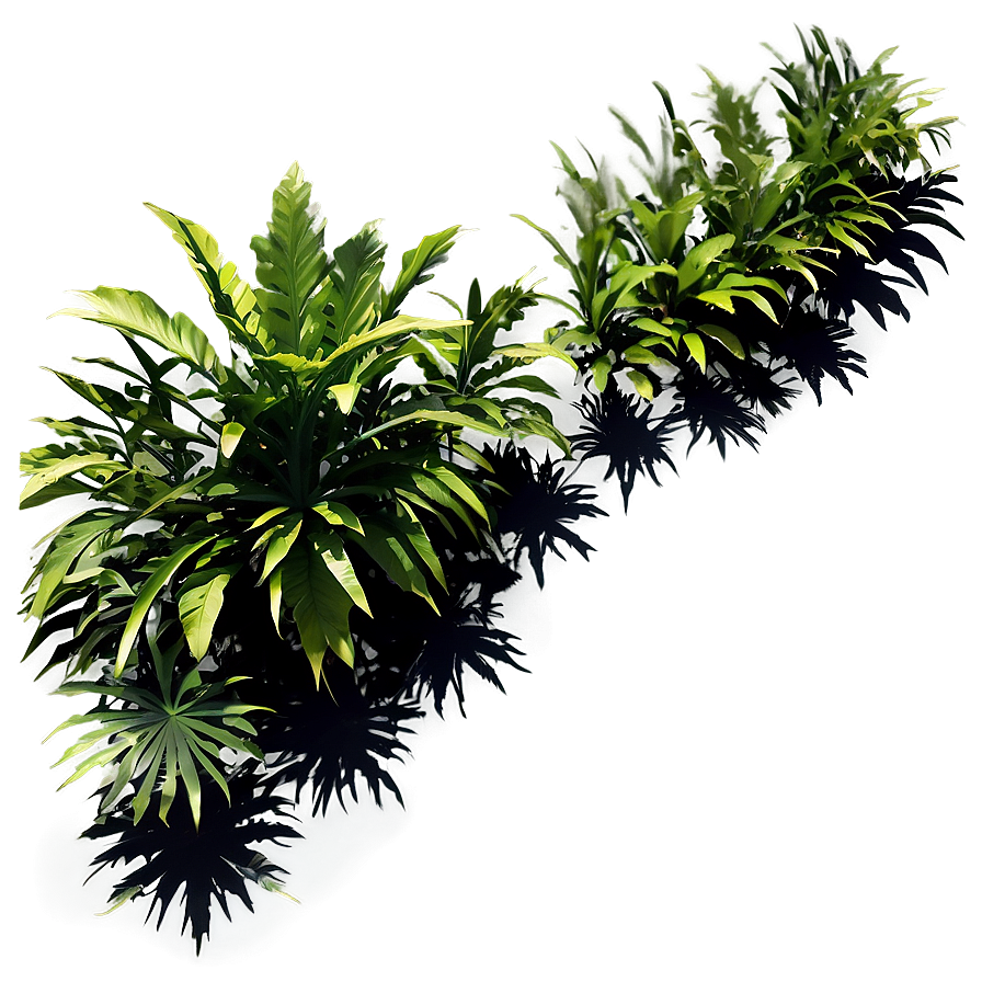 Dense Plant Shadow Composition Png Mab PNG image