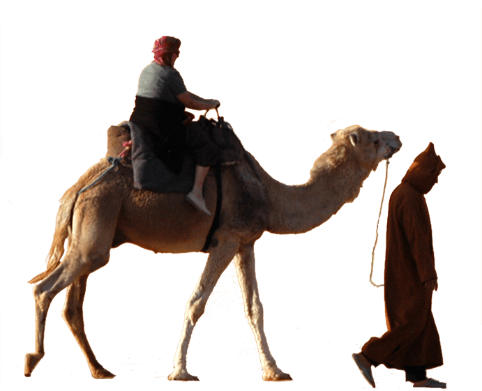 Desert Camel Ridewith Guide PNG image