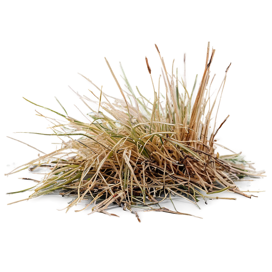 Desiccated Grass Texture Png Dtf PNG image