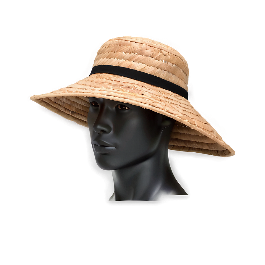 Designer Beach Hat Png 06212024 PNG image