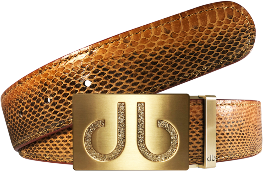 Designer Gold Buckle Snakeskin Belt PNG image