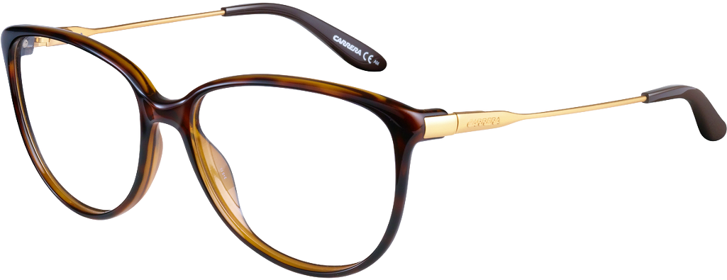 Designer Tortoiseshell Eyeglasses PNG image