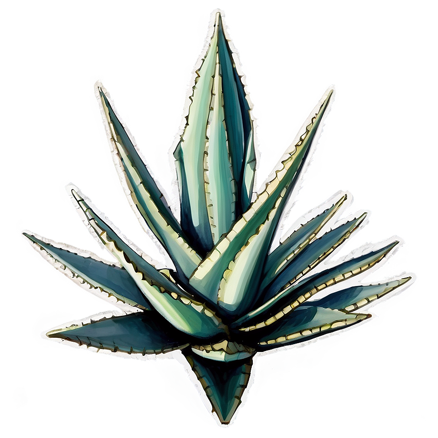 Detailed Agave Drawing Png Hfo PNG image