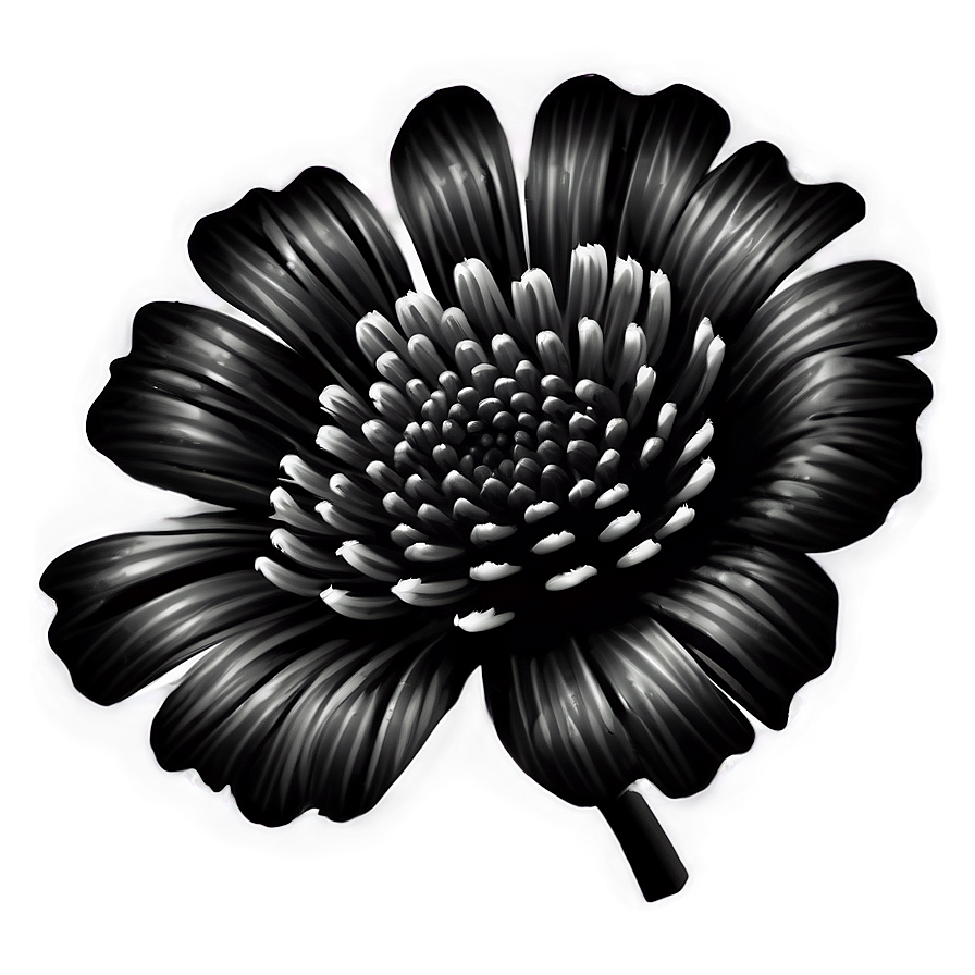 Detailed Black White Flowers Png 06282024 PNG image