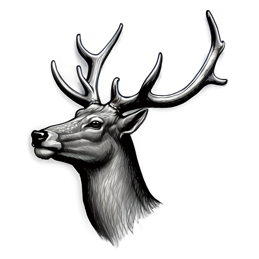 Detailed Deer Head Sketch Png 54 PNG image