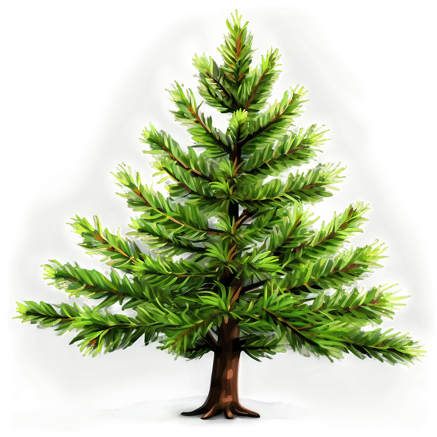 Detailed Evergreen Tree Png 06212024 PNG image