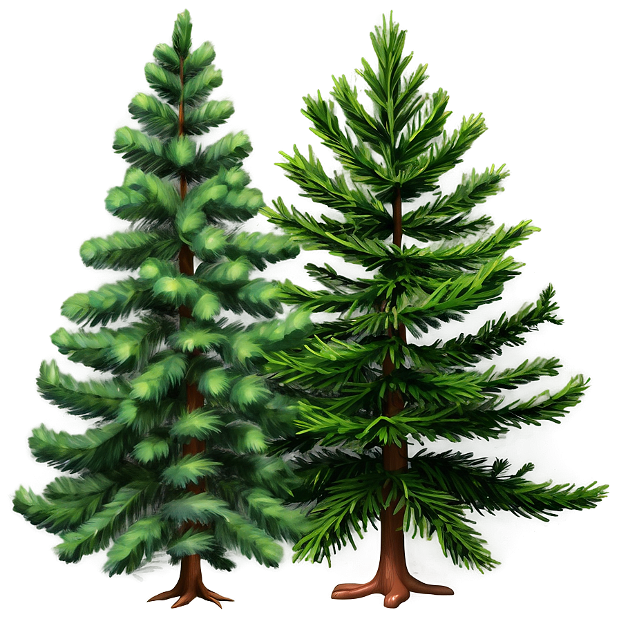 Detailed Evergreen Tree Png Fke PNG image