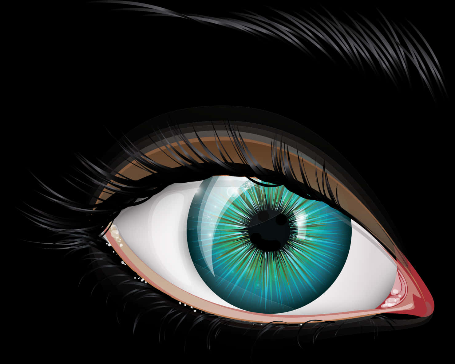 Detailed Eye Illustrationwith Long Eyelashes PNG image