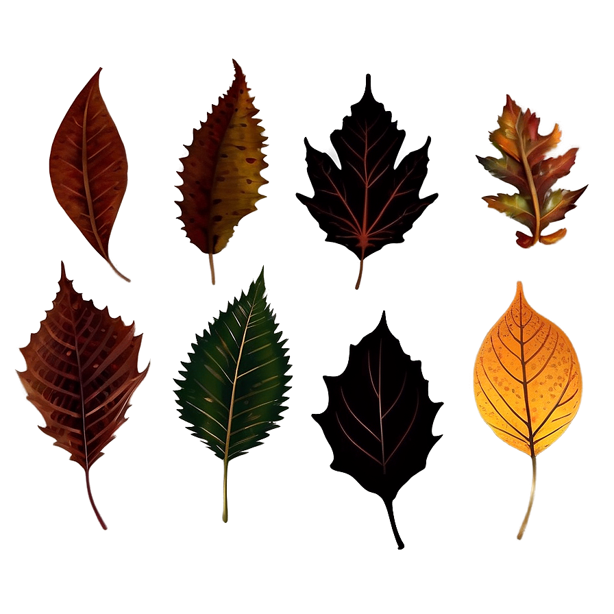 Detailed Fallen Leaves Silhouettes Png Qvl95 PNG image