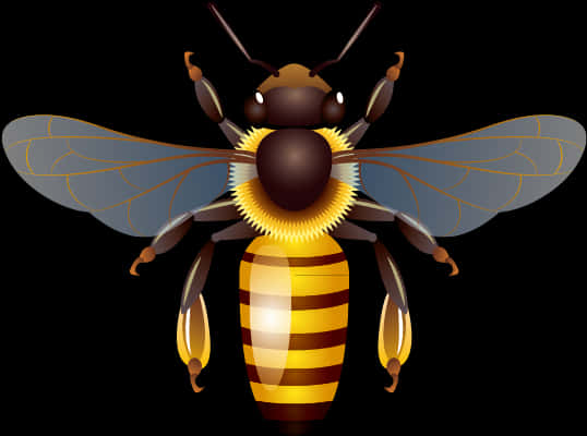 Detailed Illustrationof Bee PNG image