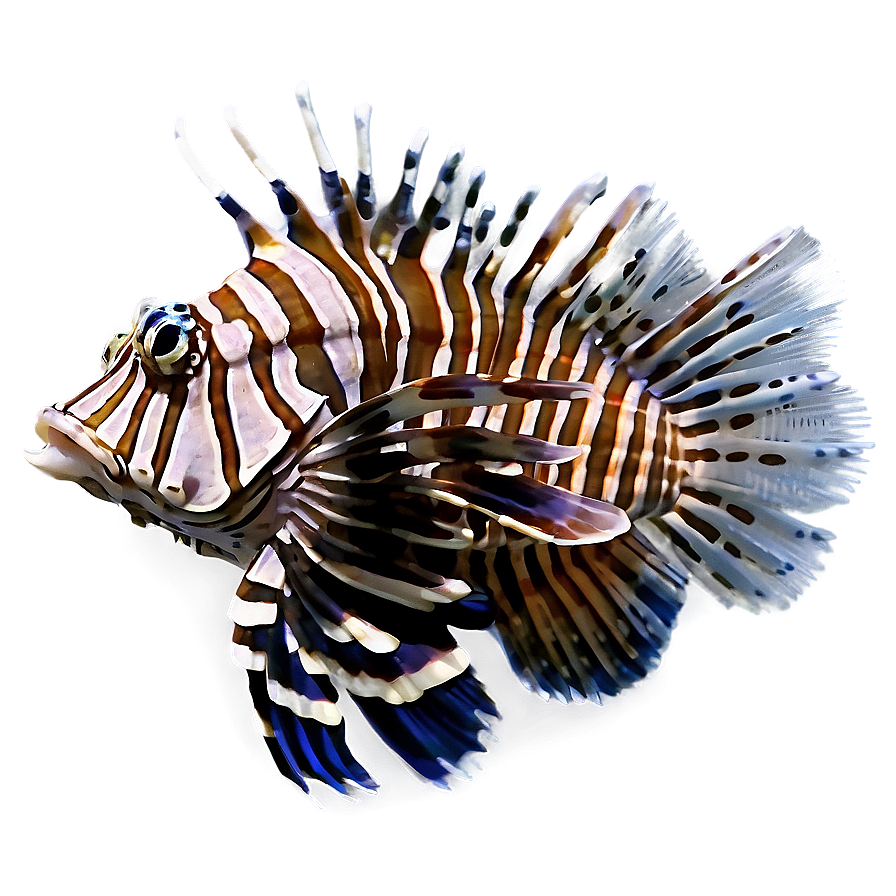 Detailed Lionfish Png 06292024 PNG image