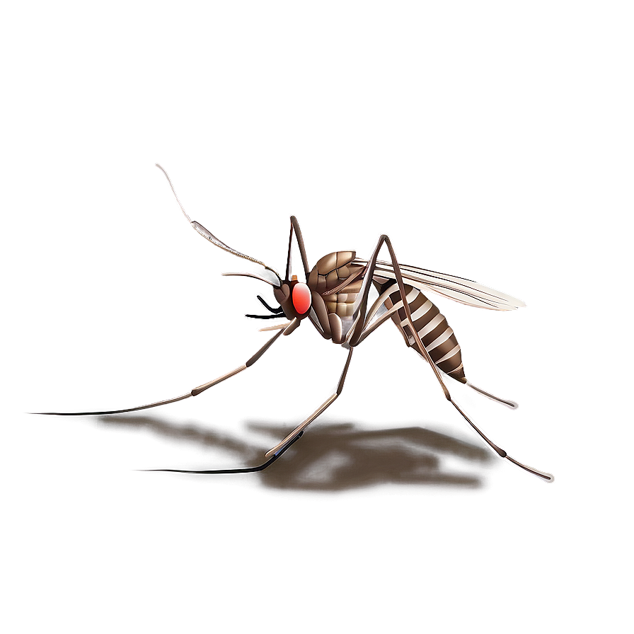 Detailed Mosquito Png 92 PNG image
