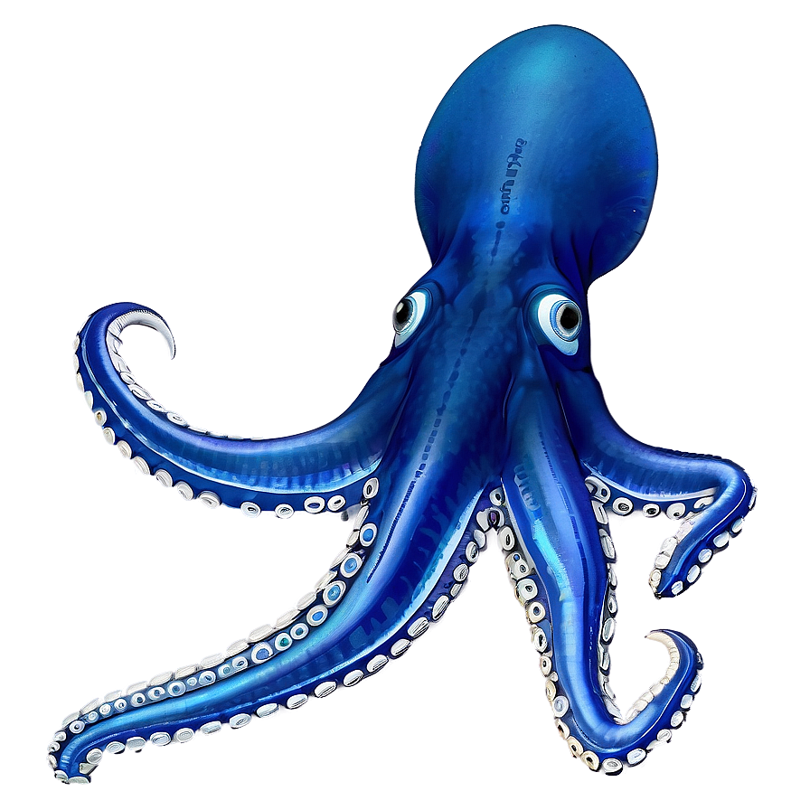 Detailed Squid Anatomy Png Ueq52 PNG image