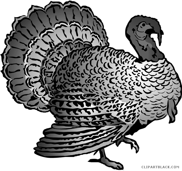 Detailed Turkey Clipart Illustration PNG image