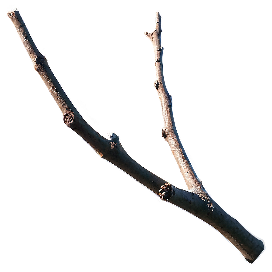 Detailed Twig Png 83 PNG image