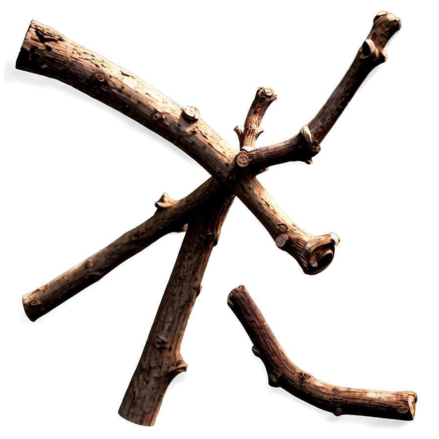 Detailed Twig Png Ppo PNG image