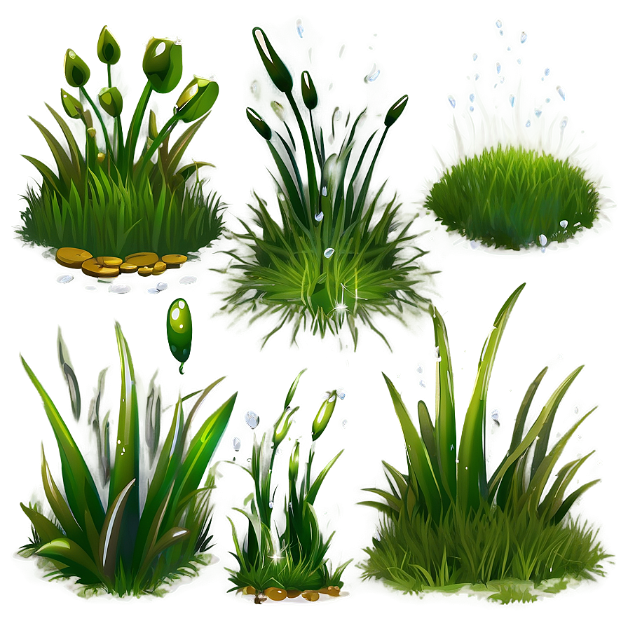 Dew On Grass Clipart Png 60 PNG image