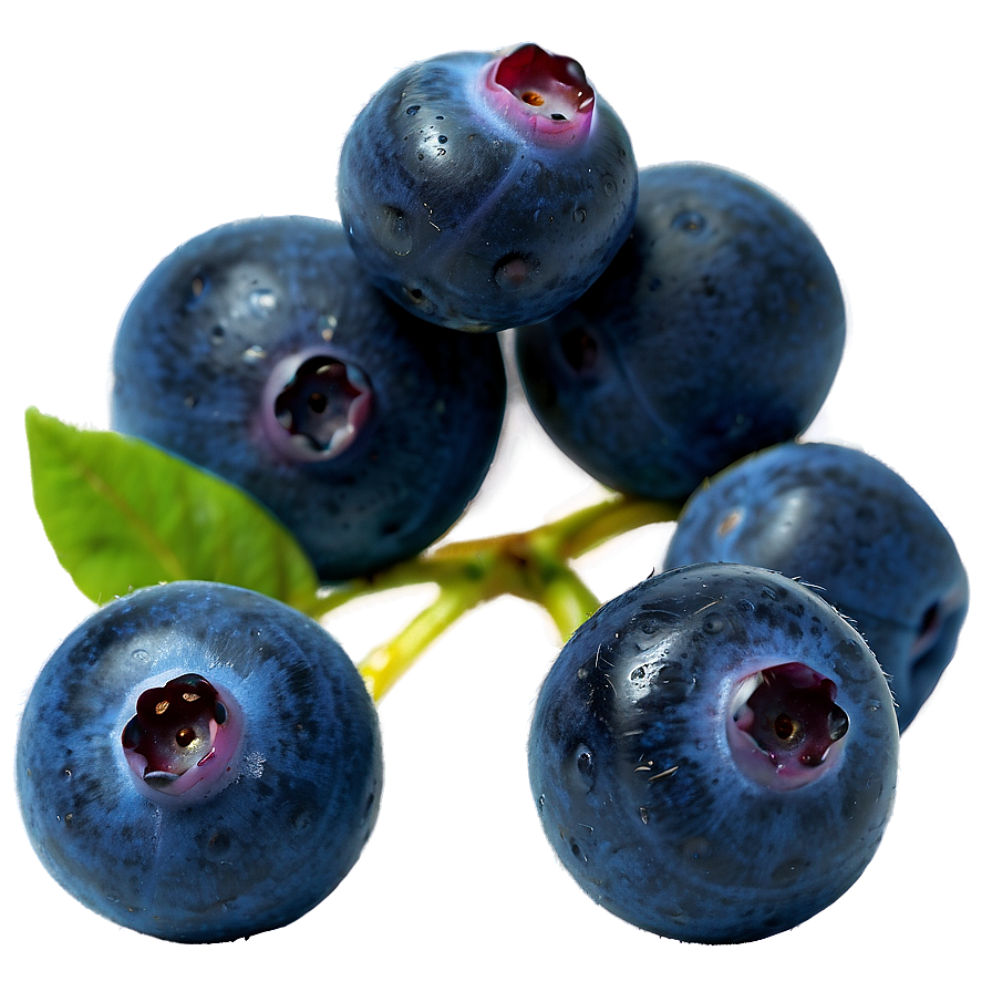 Dewy Blueberries Png 44 PNG image