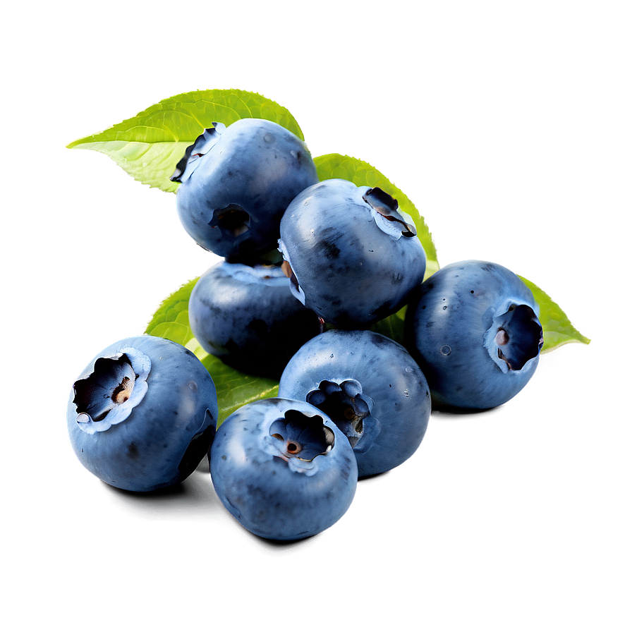 Dewy Blueberry Morning Png 05212024 PNG image