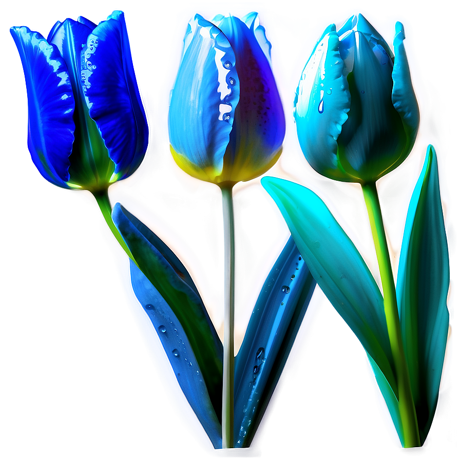Dewy Tulip Png 76 PNG image