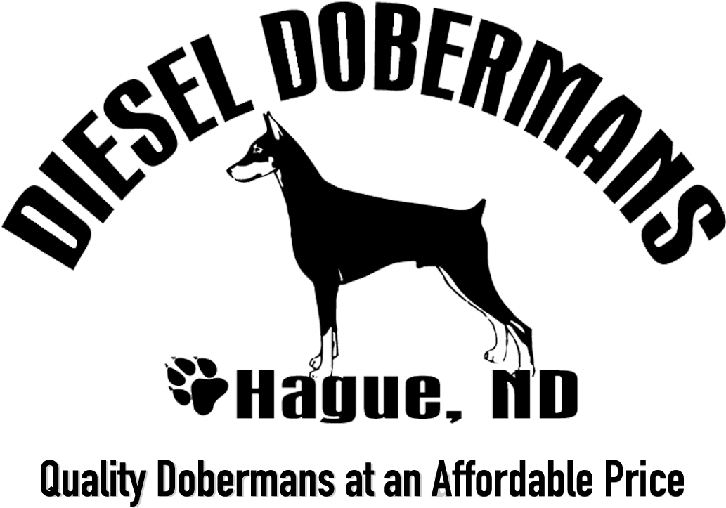 Diesel Dobermans Logo PNG image