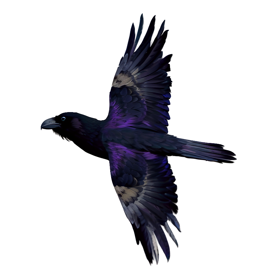 Digital Art Raven Png 06122024 PNG image