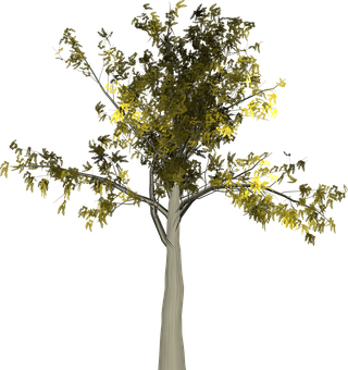 Digital Art Tree Against Black Background PNG image