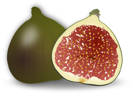 Digital Artworkof Fig Fruit PNG image