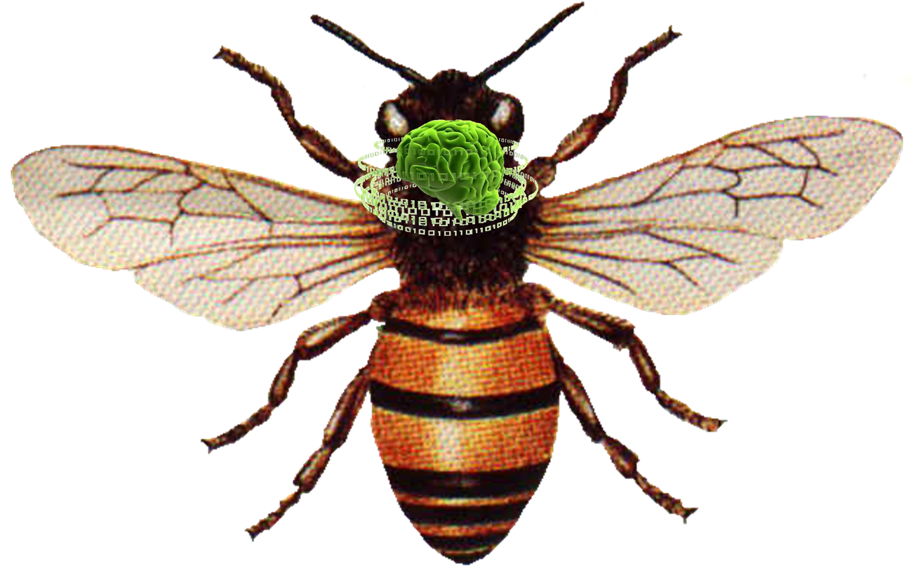 Digital Honey Bee Brain Circuitry PNG image