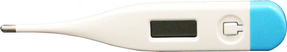 Digital Thermometer Isolated PNG image