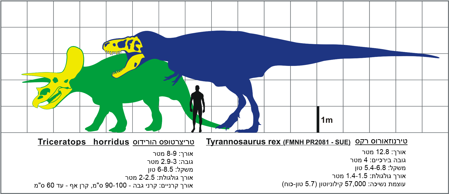 Dinosaur Size Comparison Chart PNG image
