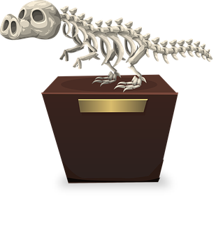 Dinosaur Skeleton Exhibit PNG image
