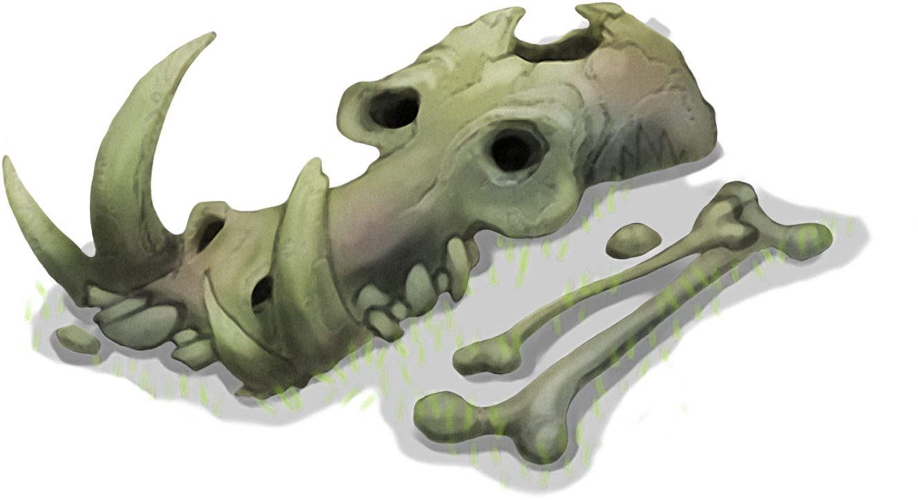 Dinosaur Skull Fossil Illustration PNG image
