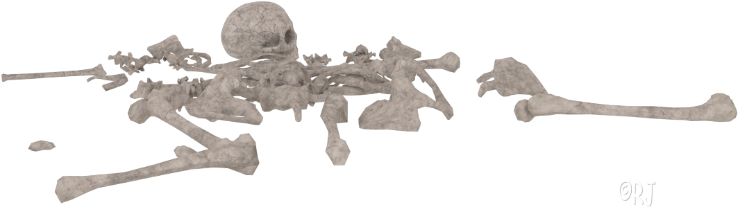 Disassembled Skeleton3 D Model PNG image