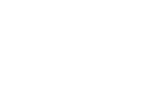 Discord Partner Logo PNG image