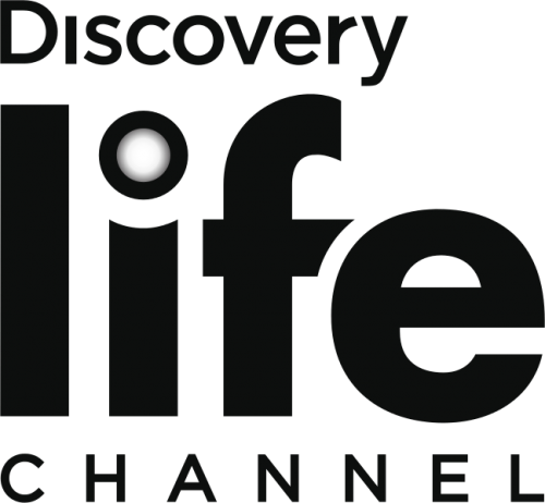 Discovery Life Channel Logo PNG image