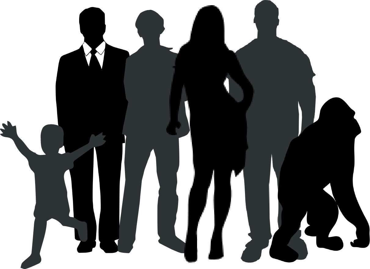 Diverse Silhouette Group People PNG image