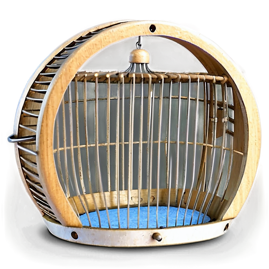 Diy Bird Cage Png 06122024 PNG image