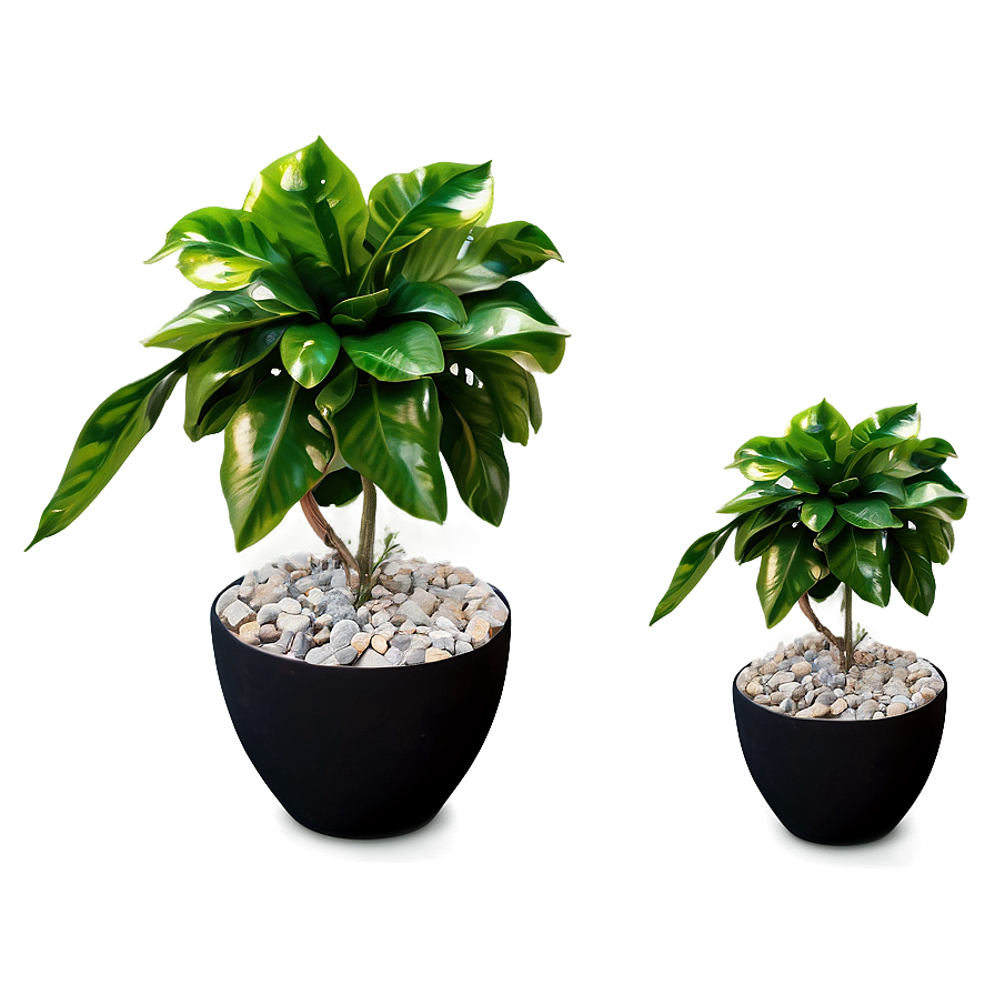 Diy Fake Plant Project Png 86 PNG image